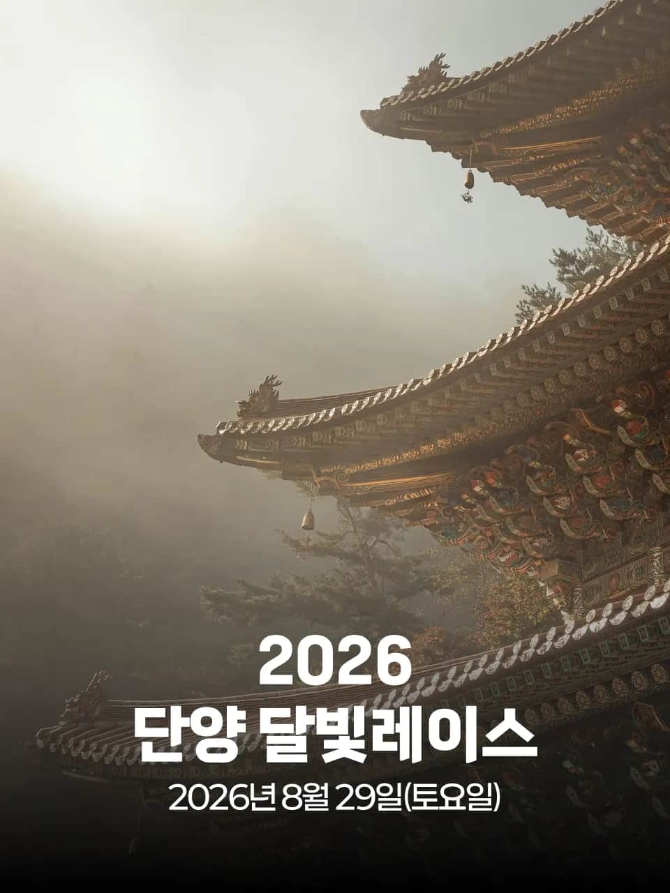 2026 단양 달빛레이스 포스터