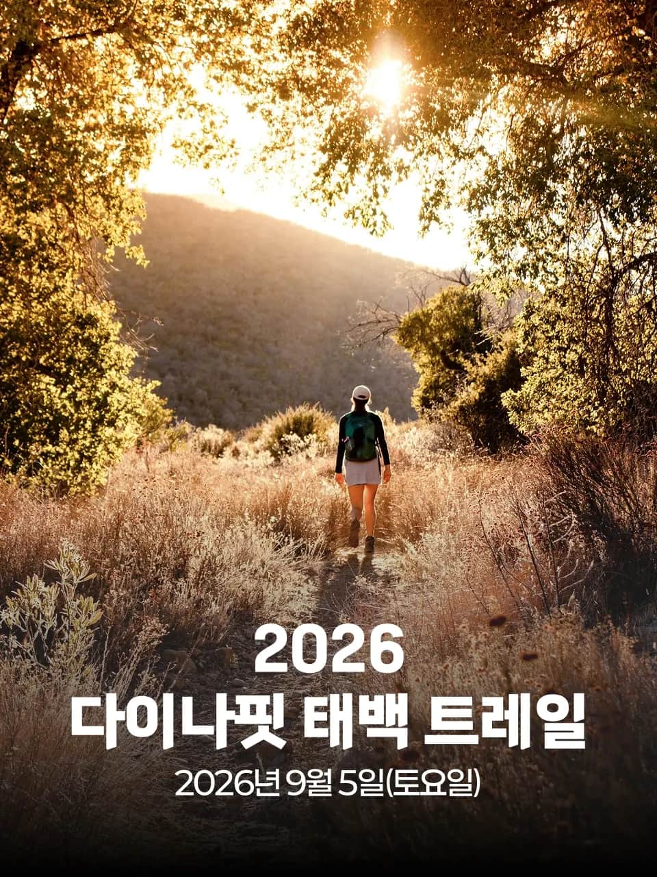 2026 다이나핏 태백 트레일 포스터