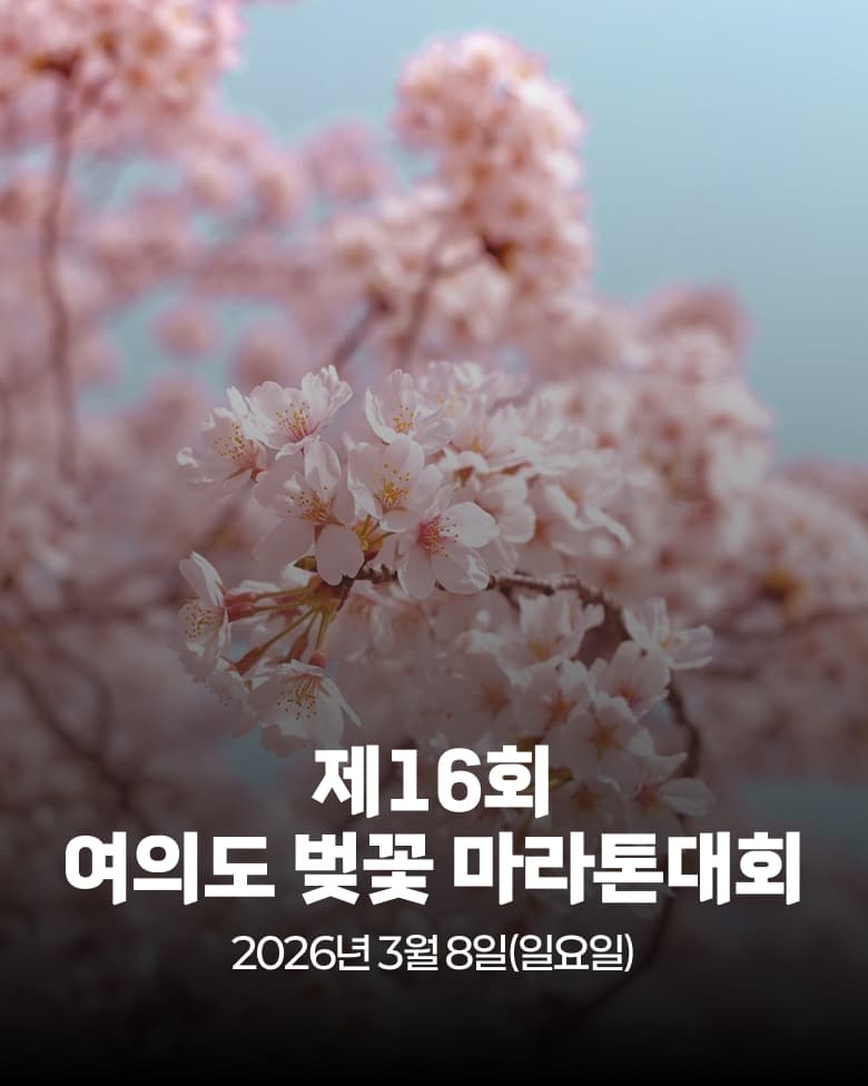 제16회 여의도 벚꽃 마라톤 대회