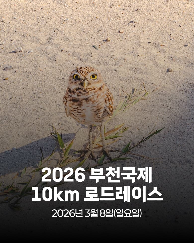 2026 부천국제 10km 로드레이스