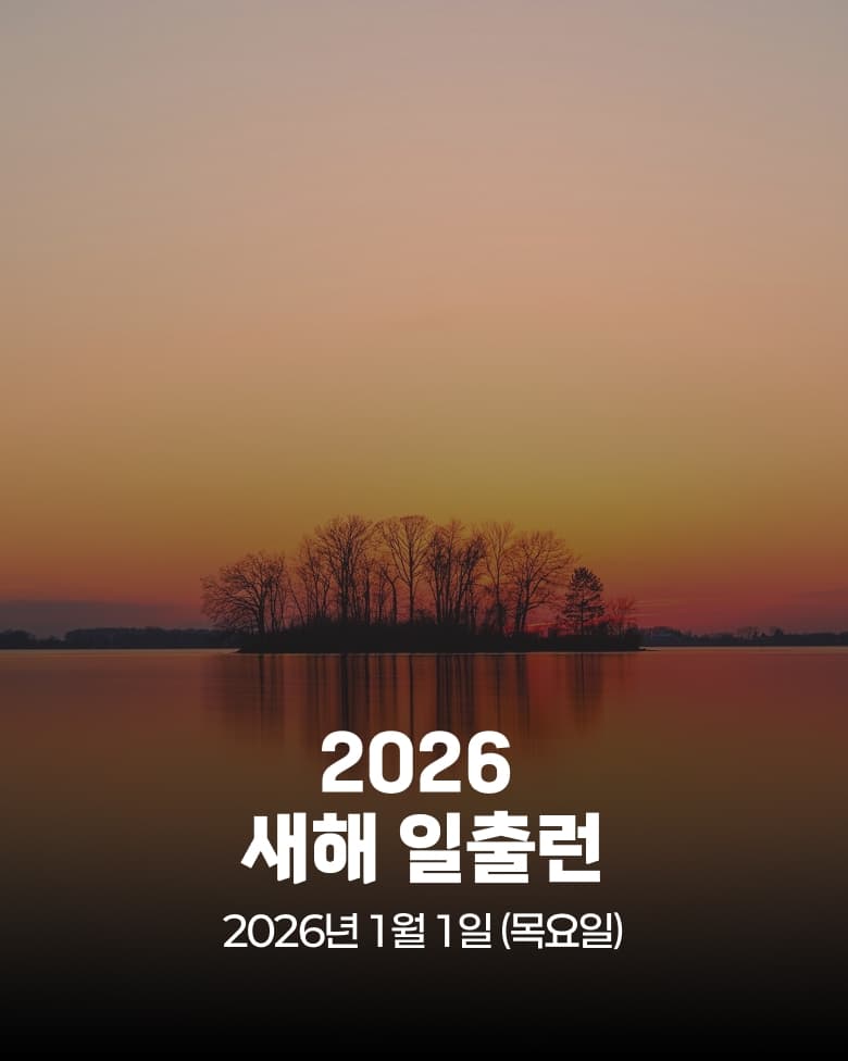 2026 새해 일출런