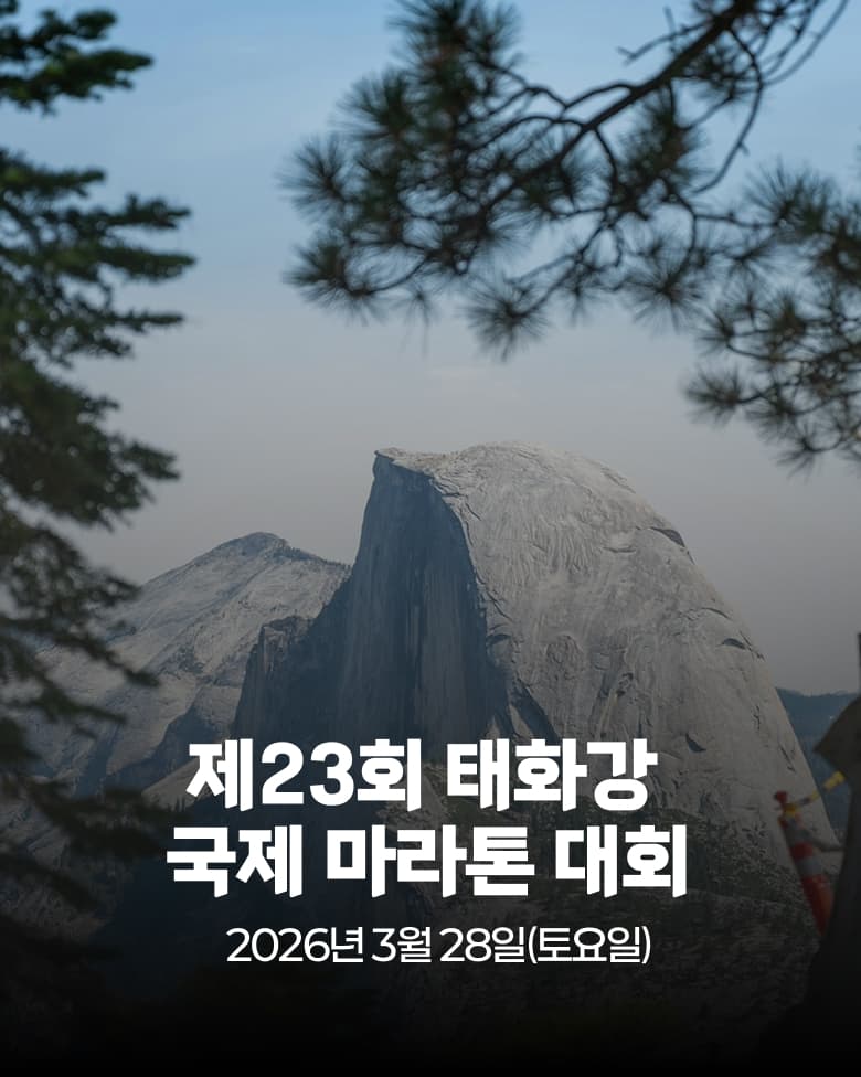 제23회 태화강 국제 마라톤 대회