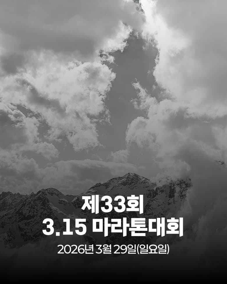 제33회 3.15 마라톤 대회