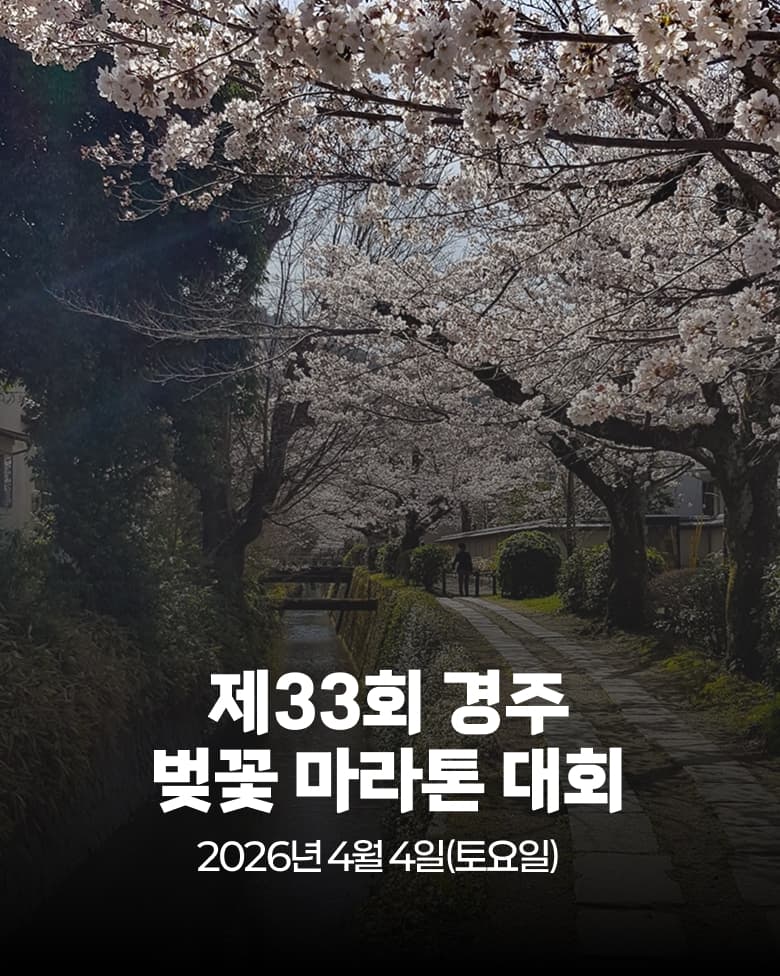 제33회 경주 벚꽃 마라톤대회
