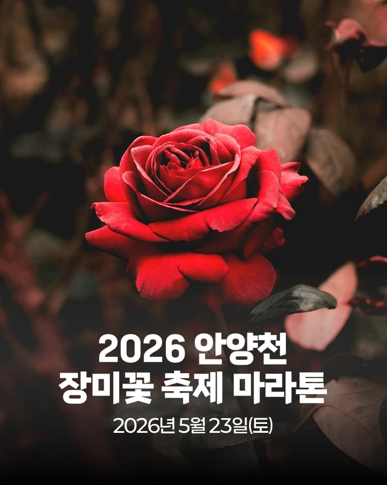 2026 안양천 장미꽃 축제 마라톤 이미지 1
