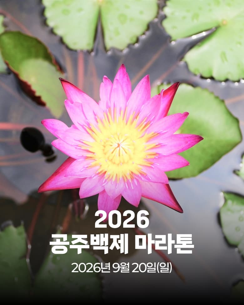 2026 공주백제 마라톤 이미지 1