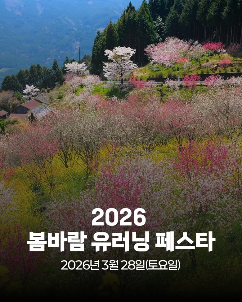 봄철 러닝 부상 예방: 아킬레스와 무릎 관리 루틴