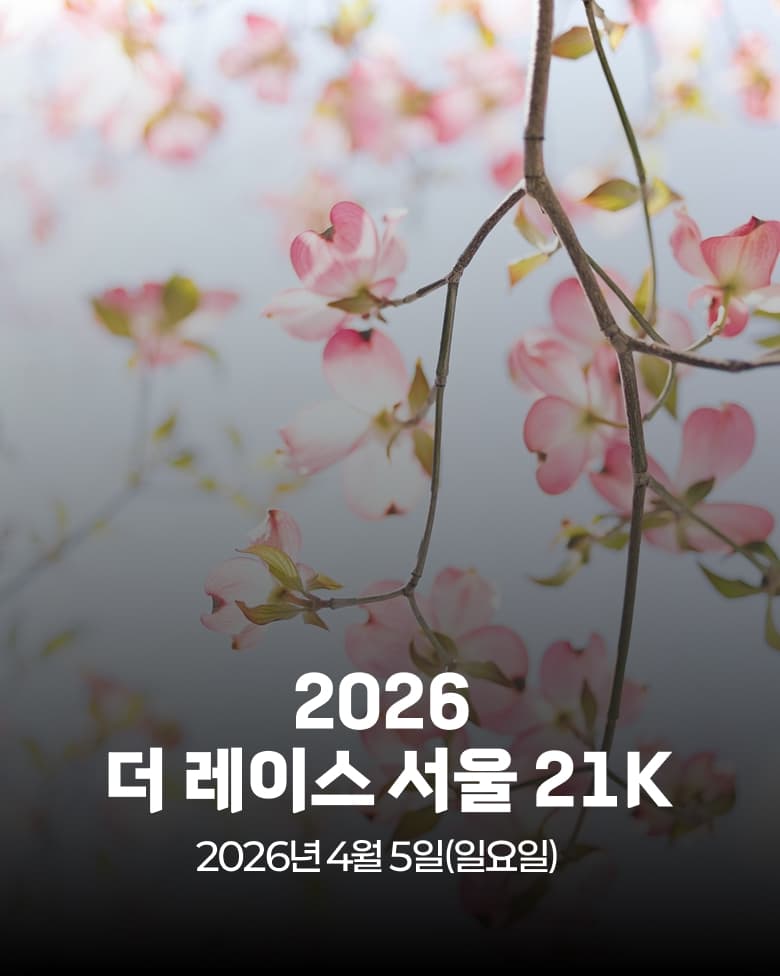 2026 The Race Seoul 21k