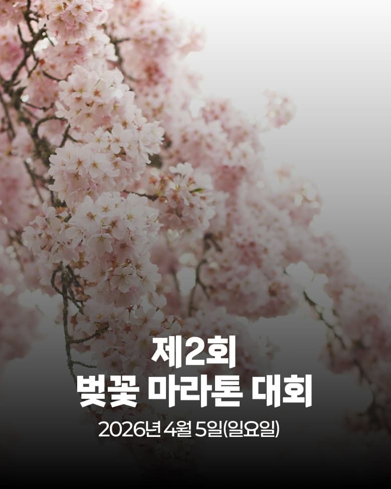 국립창원대와 MBC경남이 함께하는 제2회 벚꽃마라톤대회