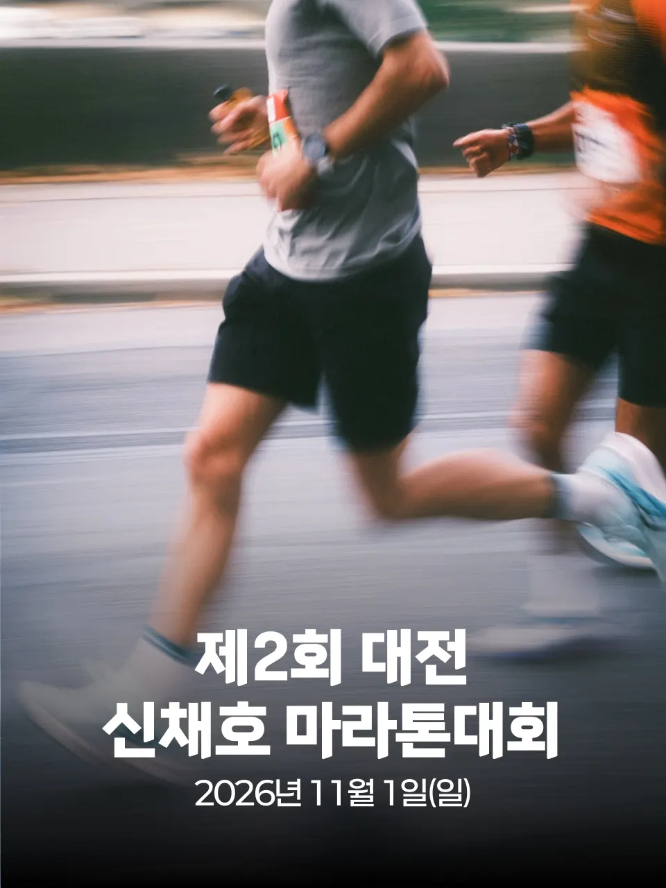 제2회 대전 신채호 마라톤대회 대회 커버 이미지