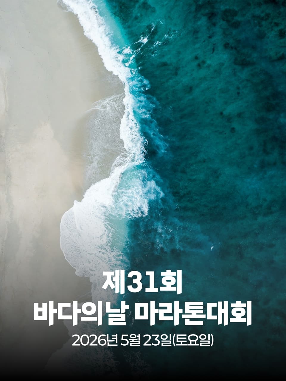 제31회 바다의날 마라톤대회 이미지 1