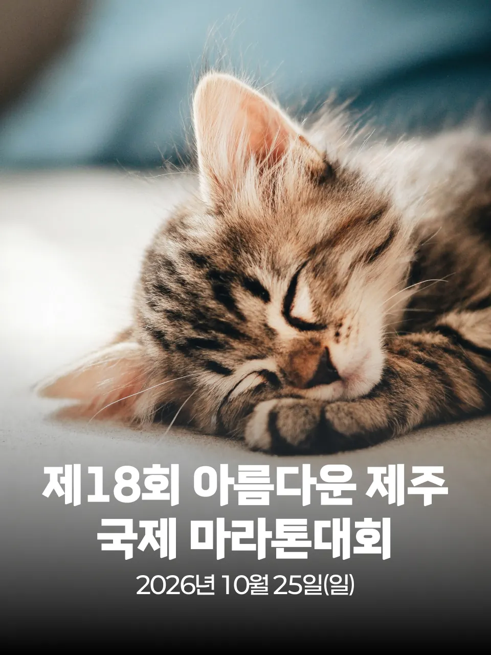 제18회 아름다운 제주 국제 마라톤대회 대회 커버 이미지