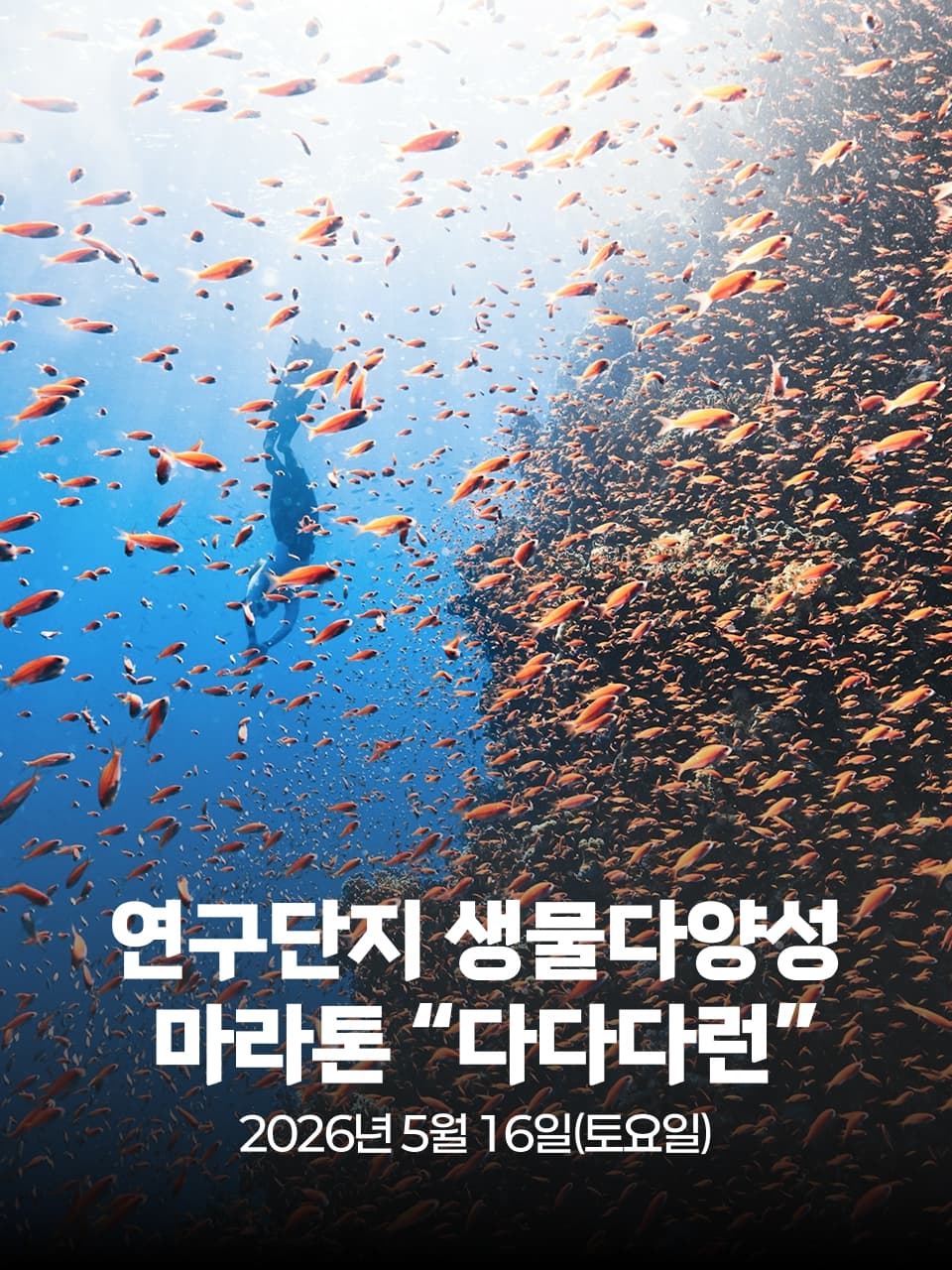 2026 연구단지 생물다양성 마라톤 다다다런 이미지 1