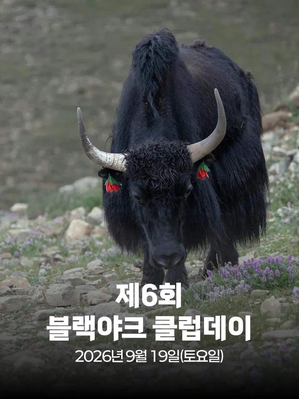제6회 블랙야크 클럽데이 대회 커버 이미지