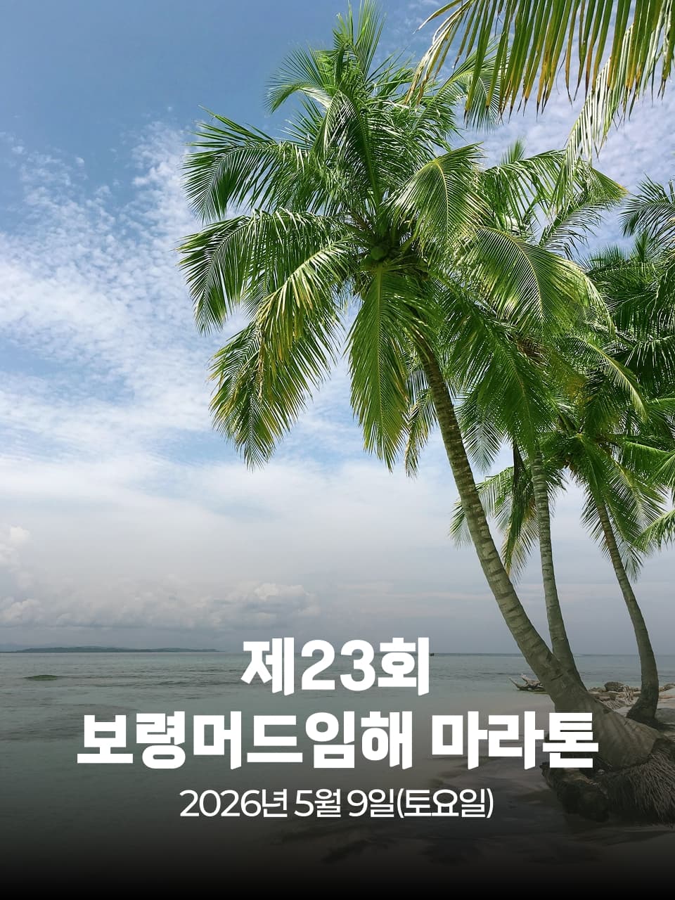 제23회 보령머드임해 마라톤 이미지 1