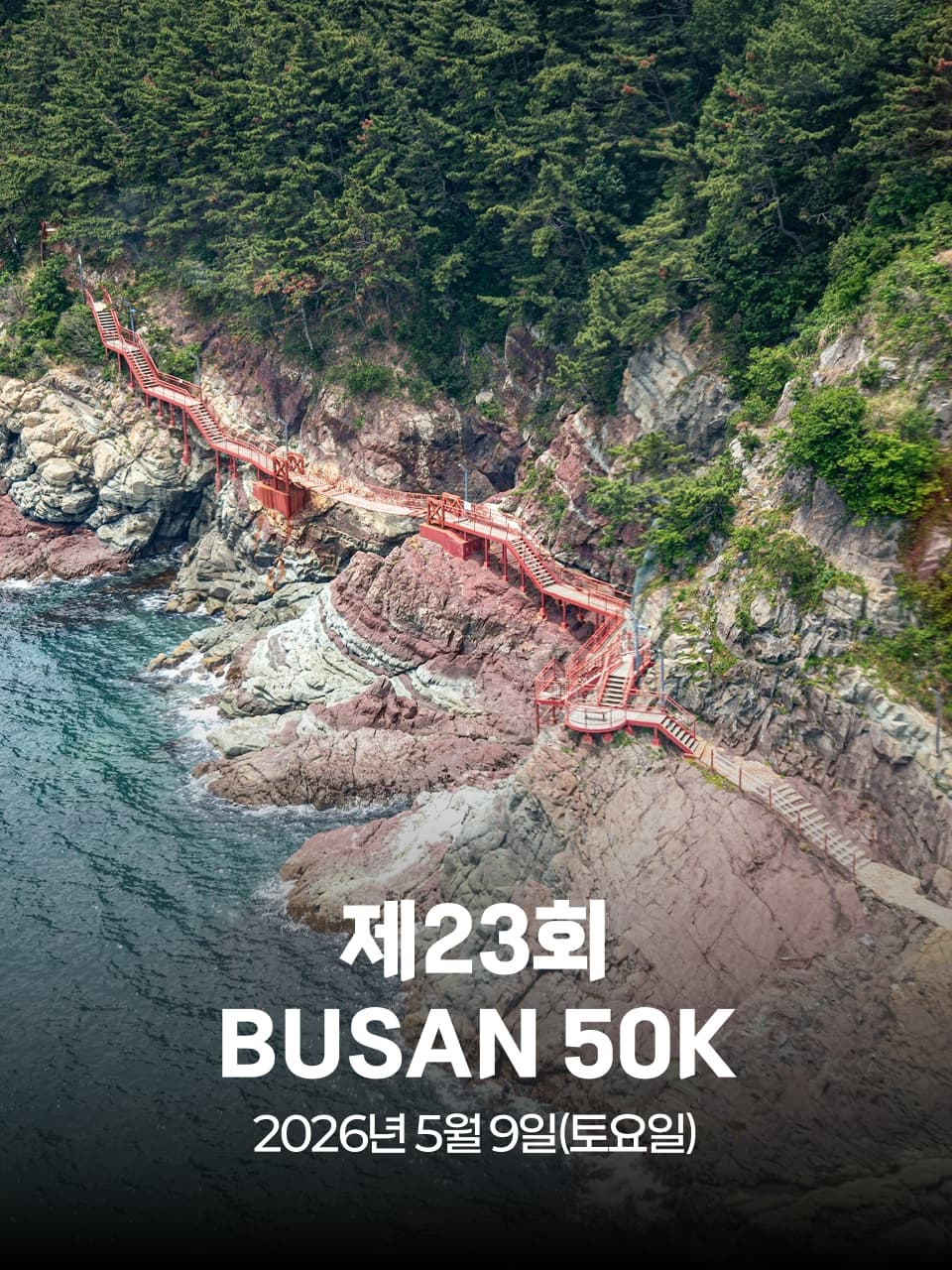 2026 BUSAN 50K 이미지 1