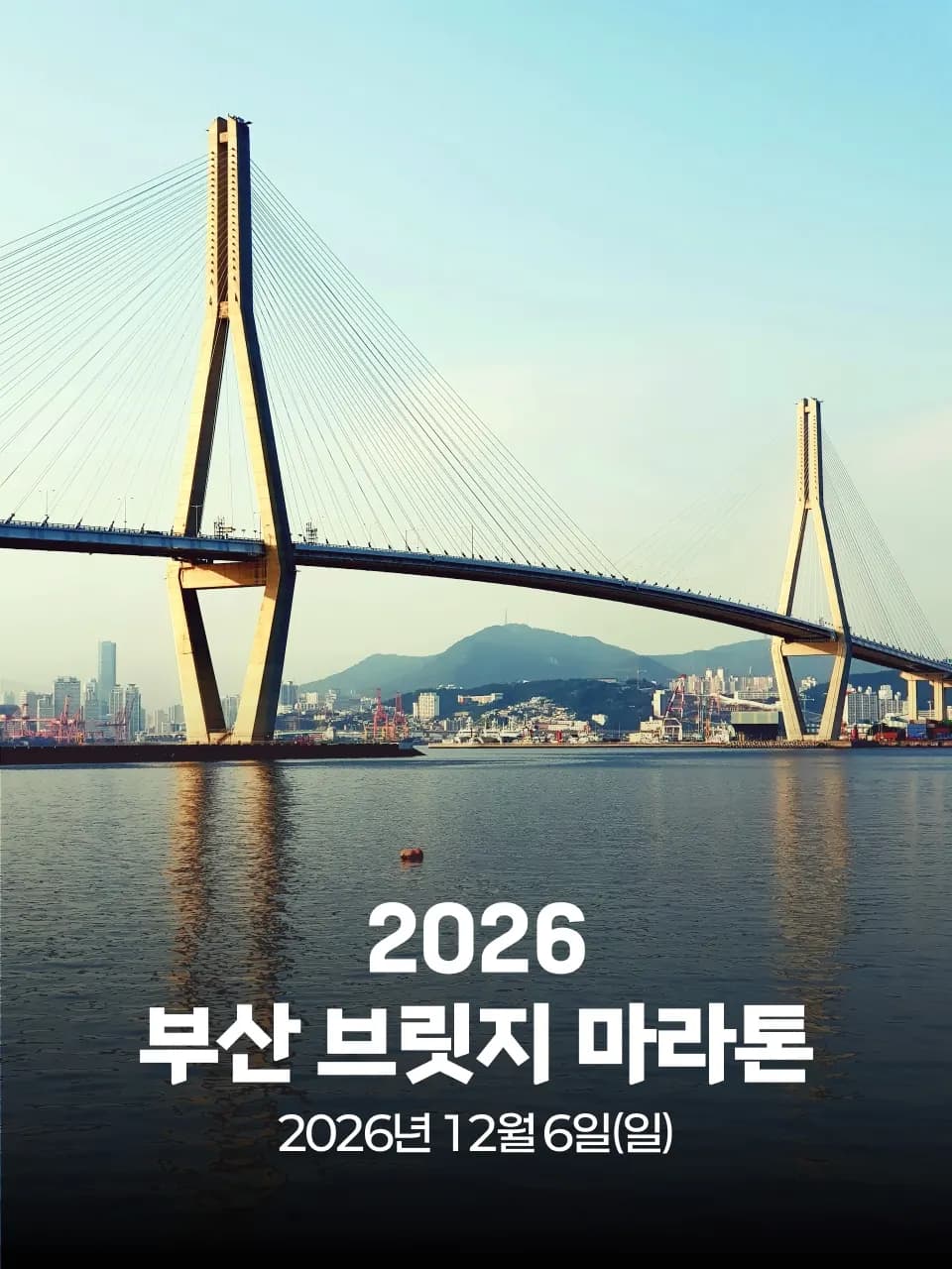 2026 부산 브릿지 마라톤 대회 커버 이미지