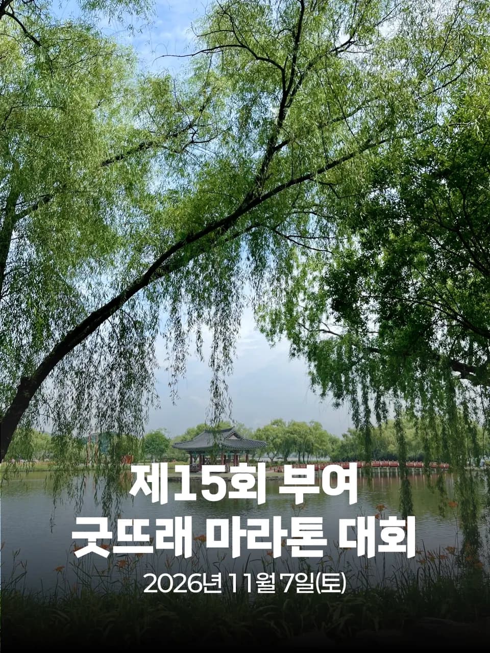 제15회 부여 굿뜨래 마라톤 대회 대회 커버 이미지