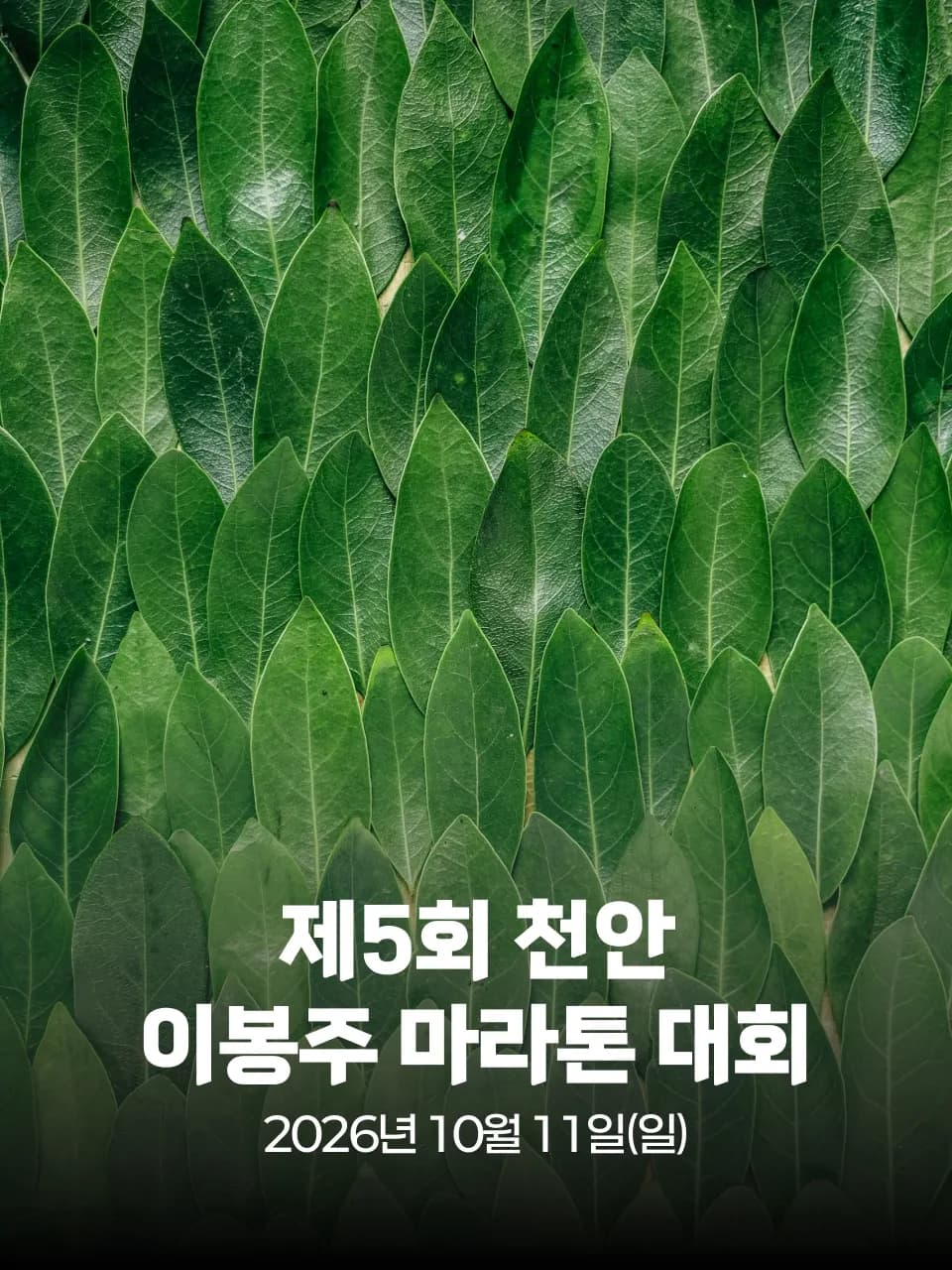 제5회 천안 이봉주 마라톤 대회 대회 커버 이미지