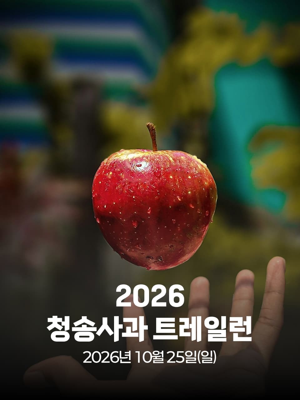 2026 청송사과 트레일런 이미지 1