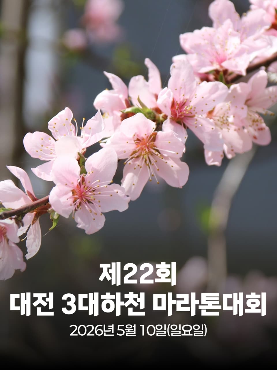 제22회 대전 3대하천 마라톤대회 이미지 1
