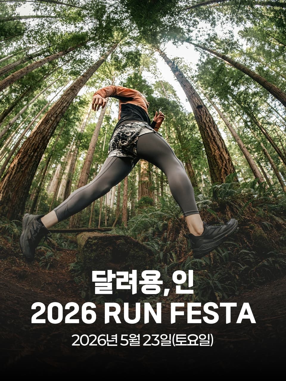 달려용,인 2026 RUN FESTA 이미지 1