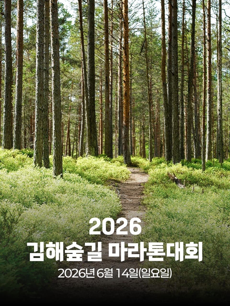 2026 김해숲길 마라톤 대회 이미지 1