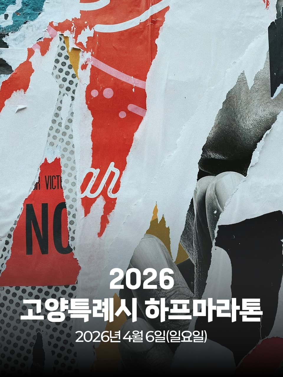 2026 고양특례시 하프마라톤 이미지 1