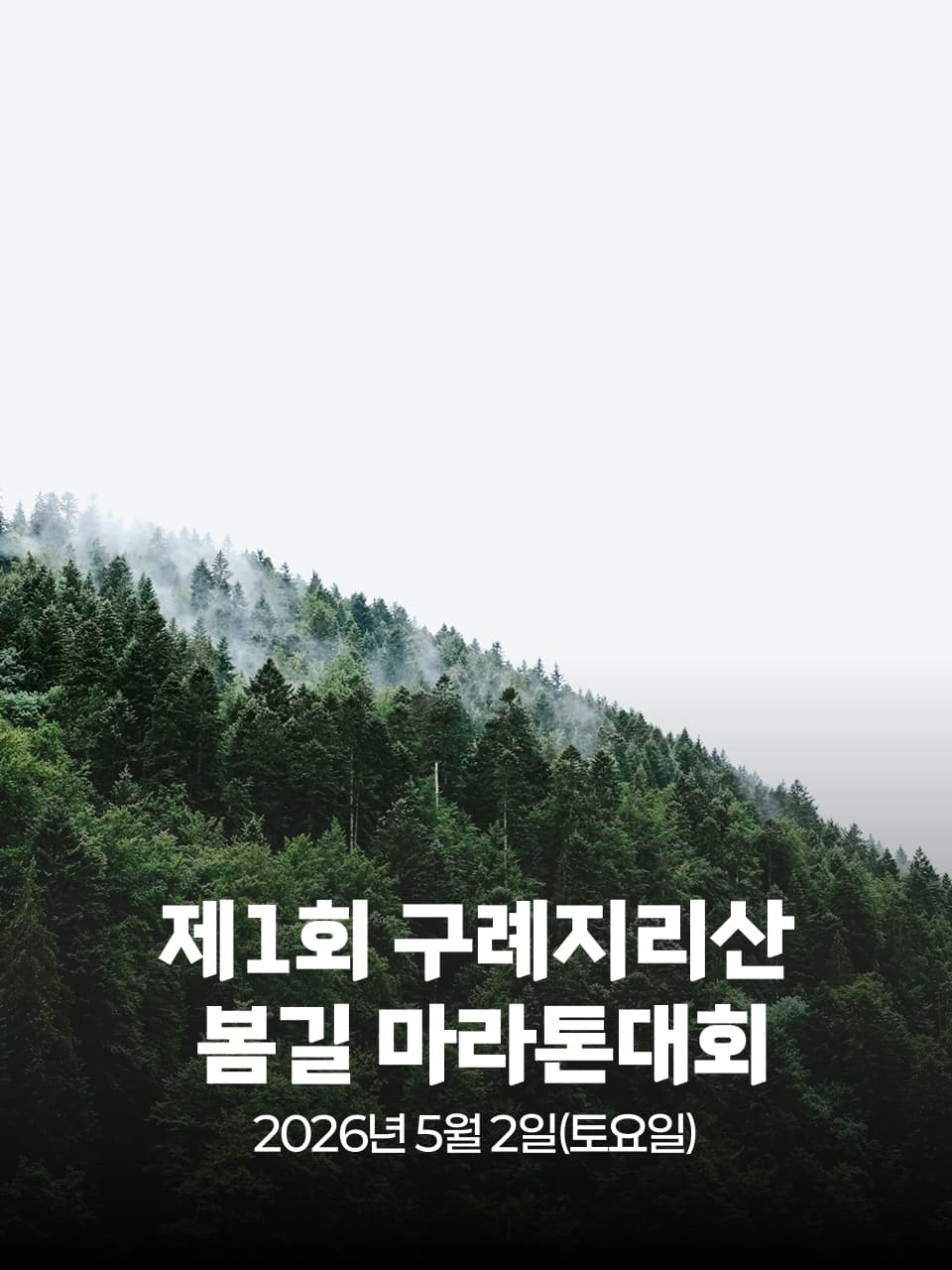 제1회 구례지리산 봄길 마라톤대회 이미지 1