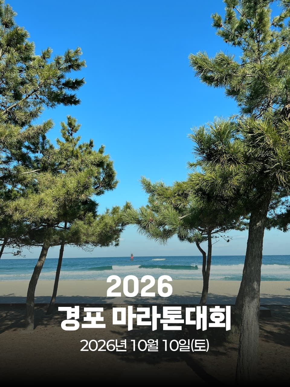 2026 경포 마라톤대회 이미지 1