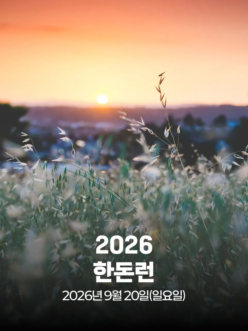 2026 한돈런 대회 커버 이미지