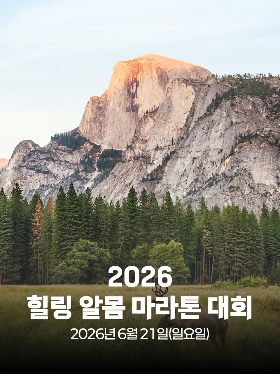 2026 힐링 알몸 마라톤 대회 이미지 1