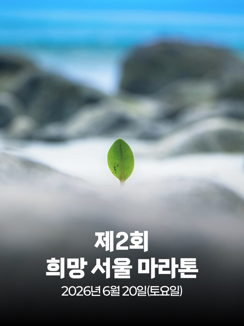 제2회 희망 서울 마라톤 이미지 1