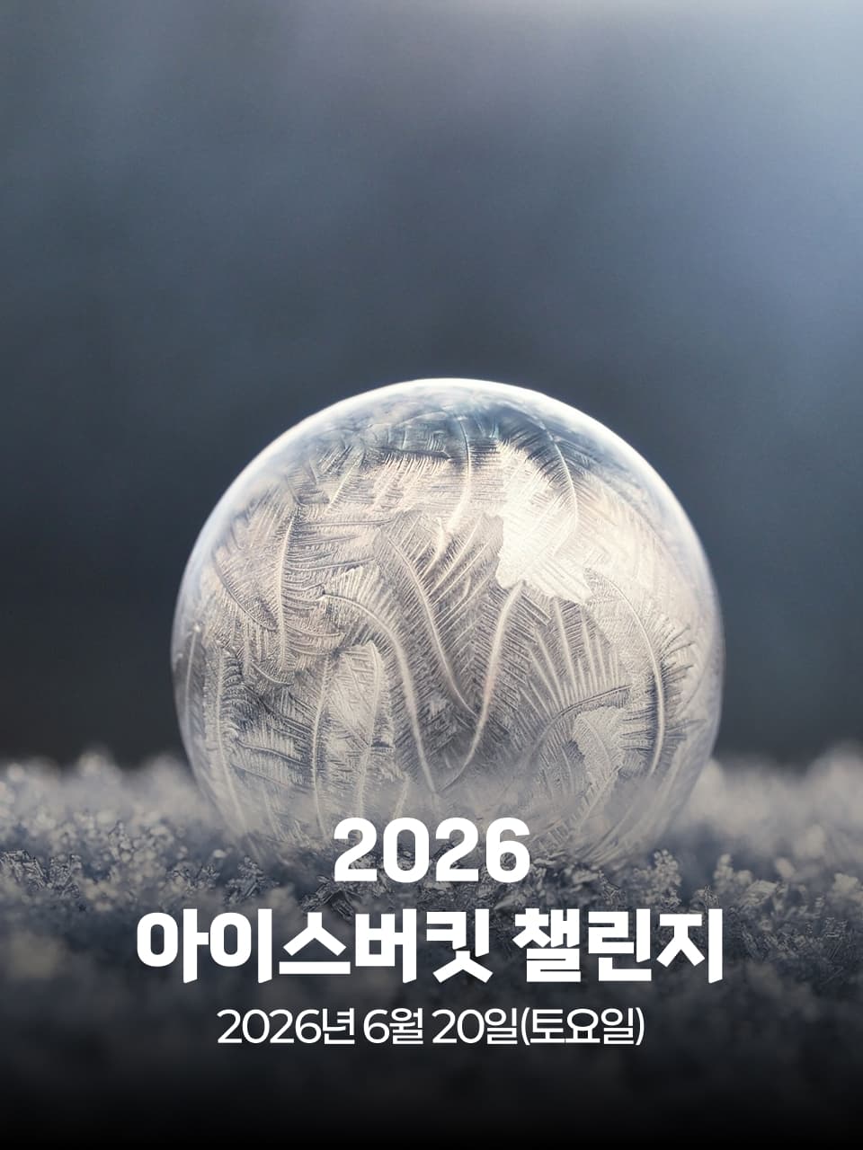 2026 아이스버킷 챌린지 RUN in Seoul 이미지 1