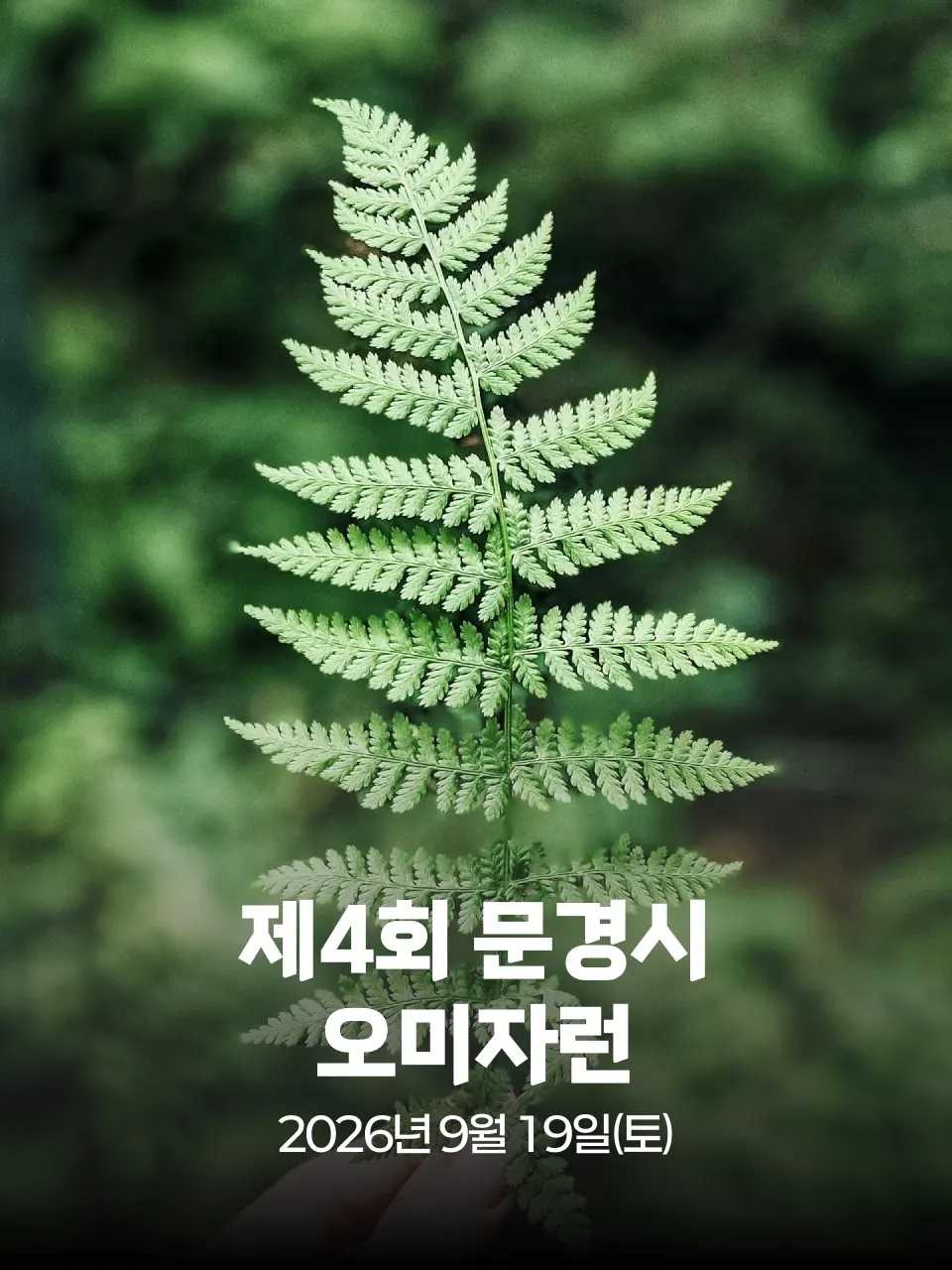 제4회 문경시 청년의 날 기념 문경 오미자런 대회 커버 이미지