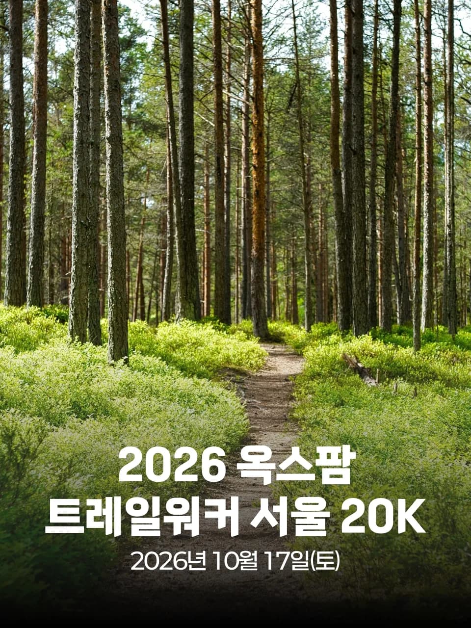 2026 옥스팜 트레일워커 서울 20K 대회 커버 이미지