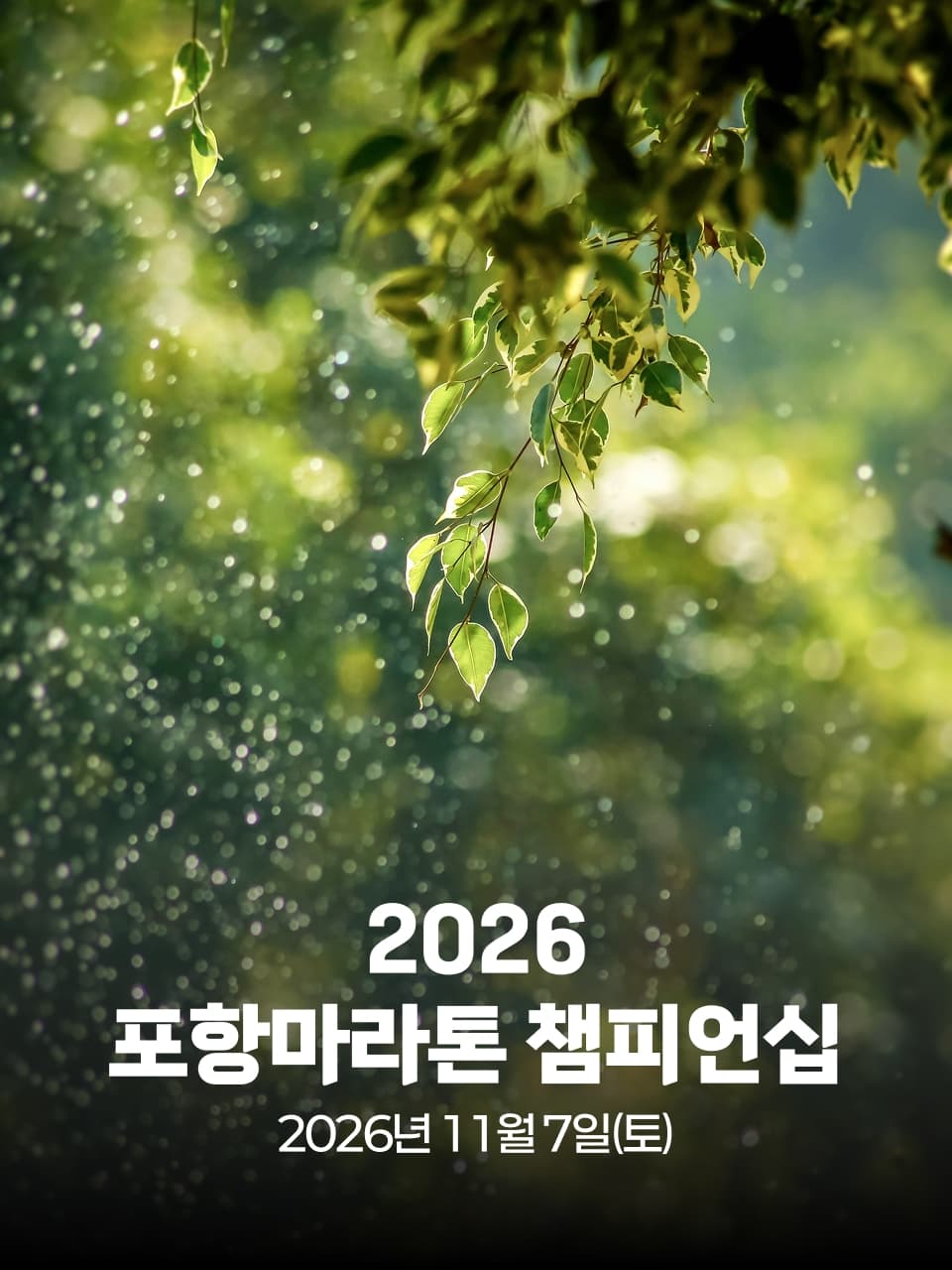 2026 포항마라톤 챔피언십 이미지 1