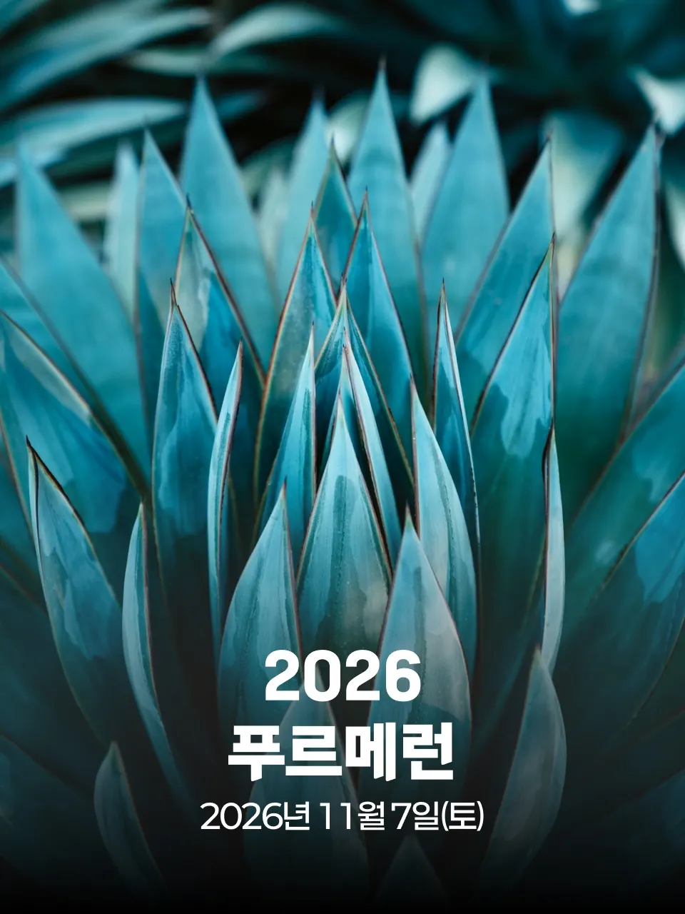 2026 푸르메런 대회 커버 이미지