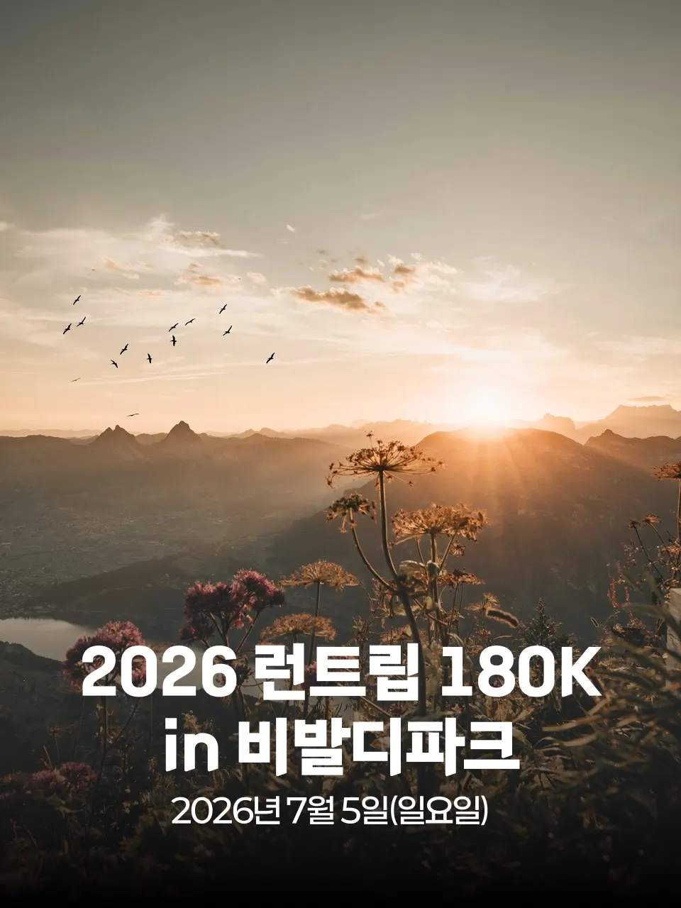 2026 런트립 180K in 비발디파크 대회 커버 이미지