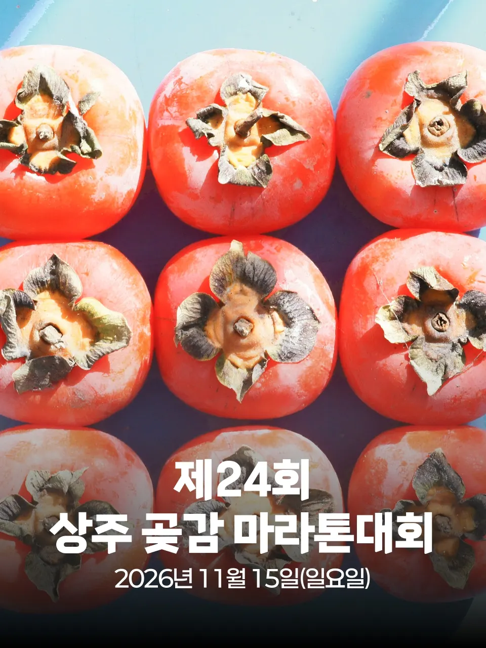 제24회 상주 곶감 마라톤 대회 대회 커버 이미지