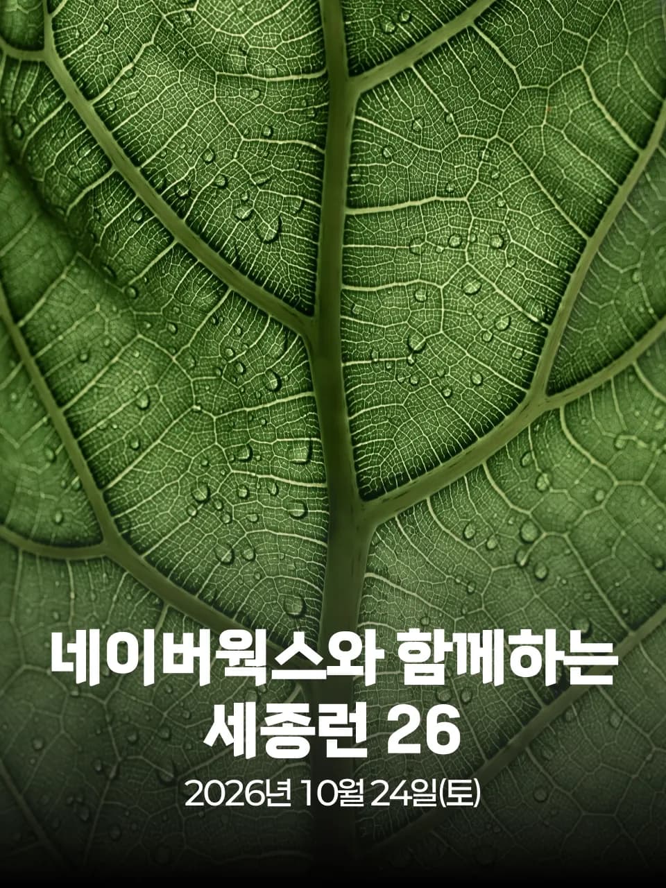 네이버웍스와 함께하는 세종런 26 대회 커버 이미지