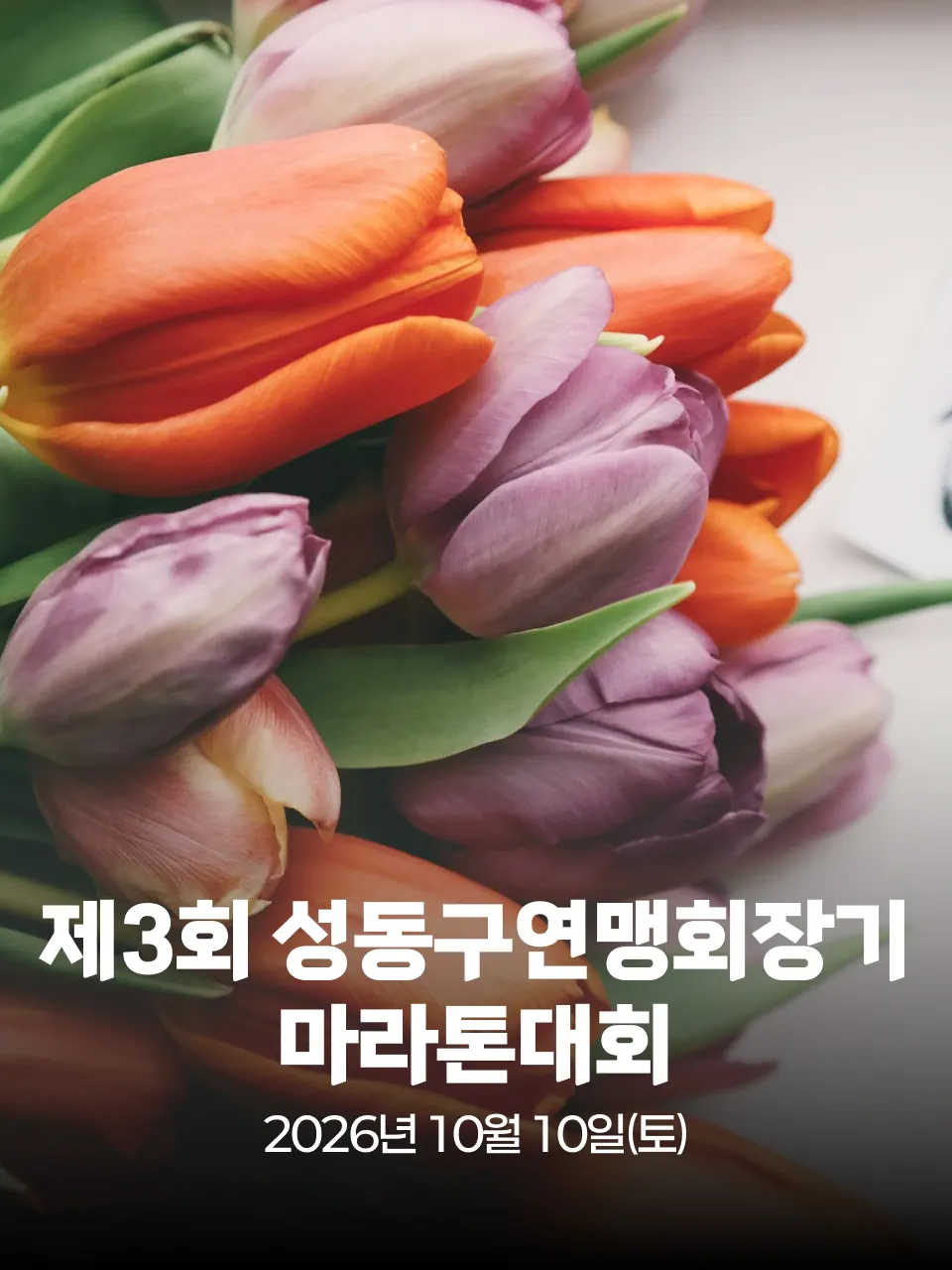제3회 성동구연맹회장기 마라톤대회 대회 커버 이미지