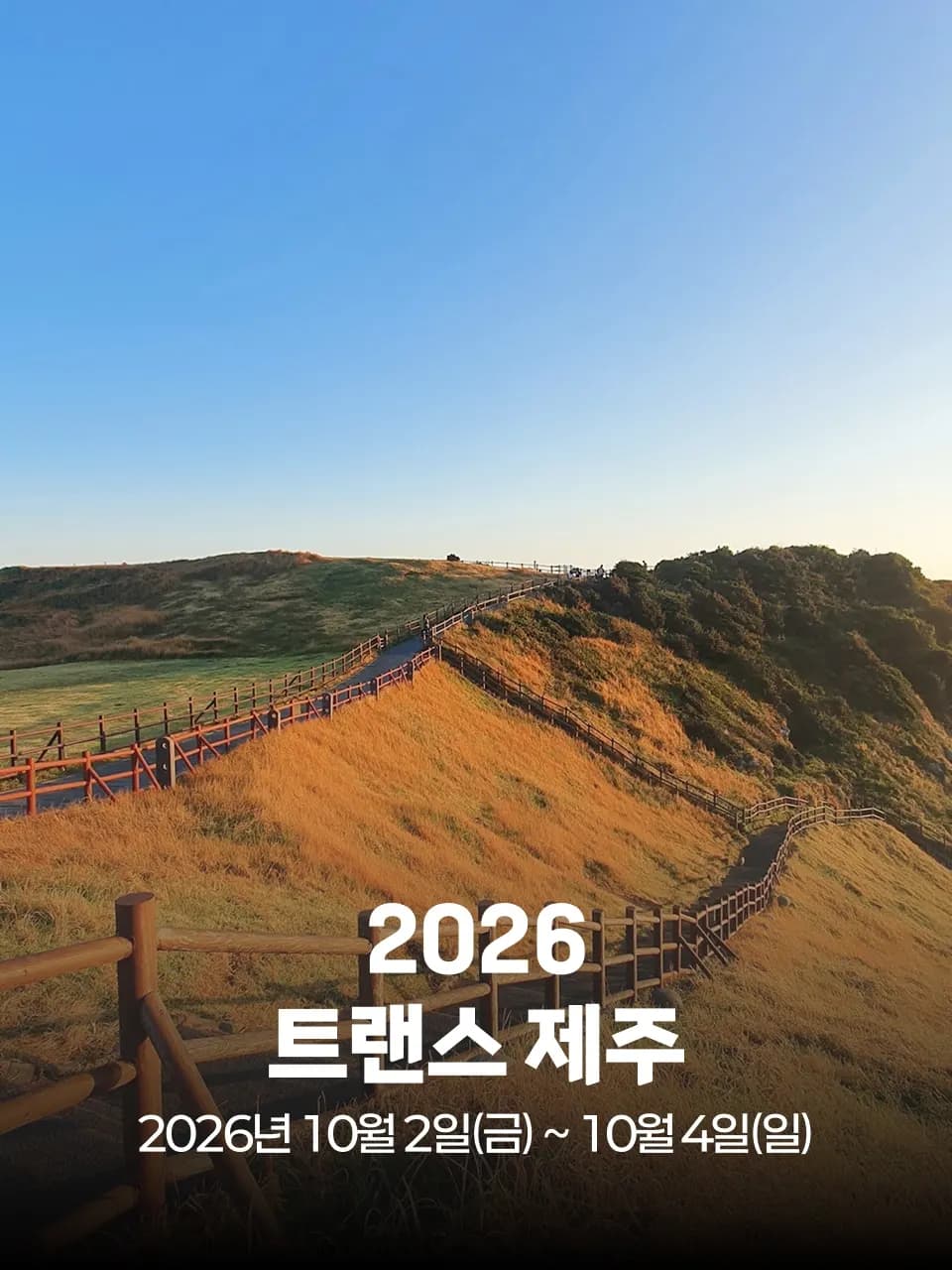 2026 트랜스 제주 대회 커버 이미지