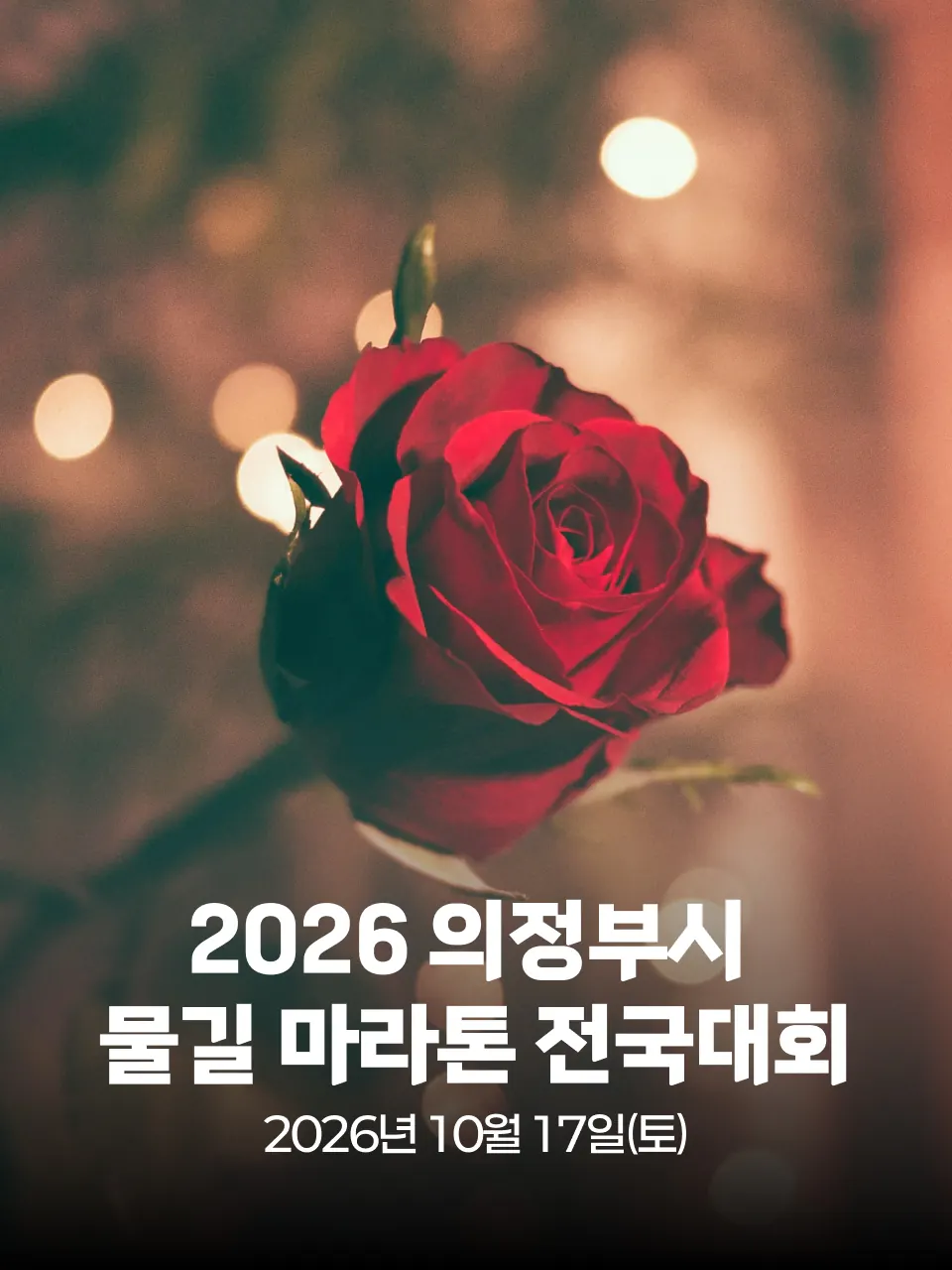 2026 의정부시 물길 마라톤 전국대회 대회 커버 이미지