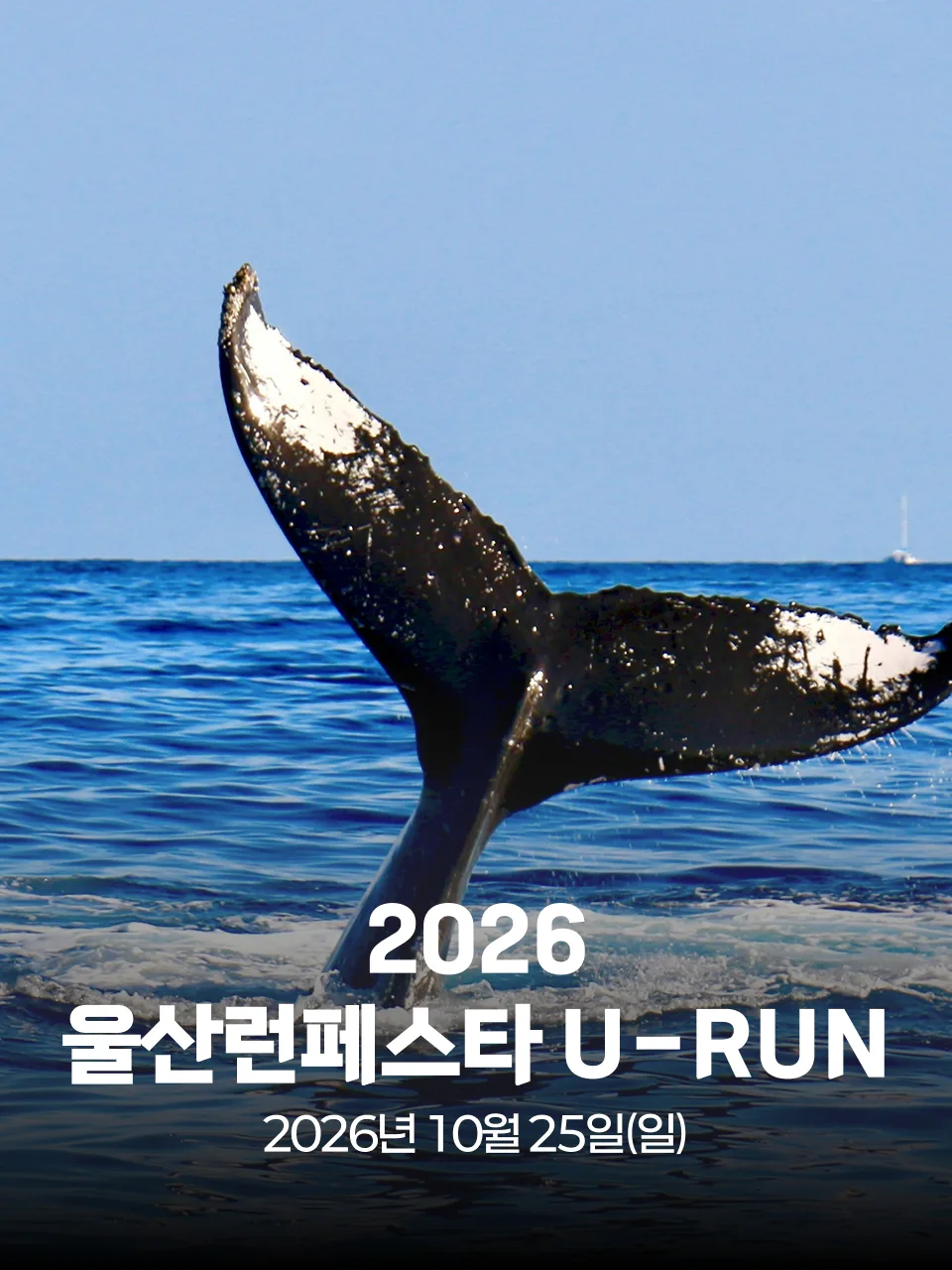 2026 울산런페스타 U-RUN 대회 커버 이미지