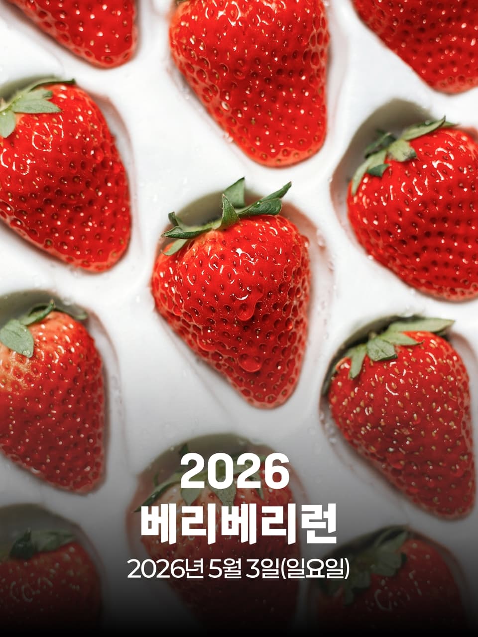 2026 베리베리런 이미지 1