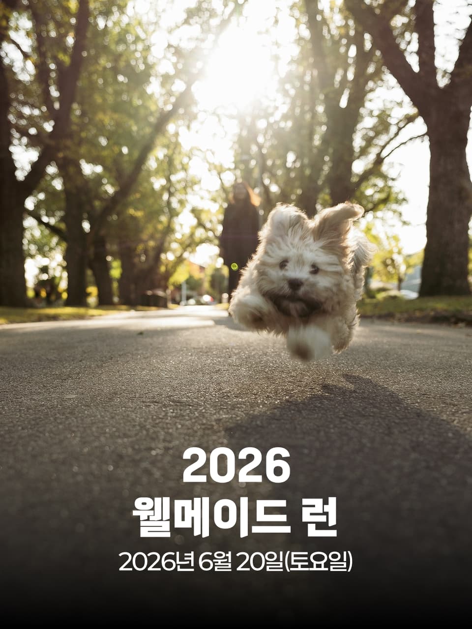 2026 웰메이드 런 이미지 1