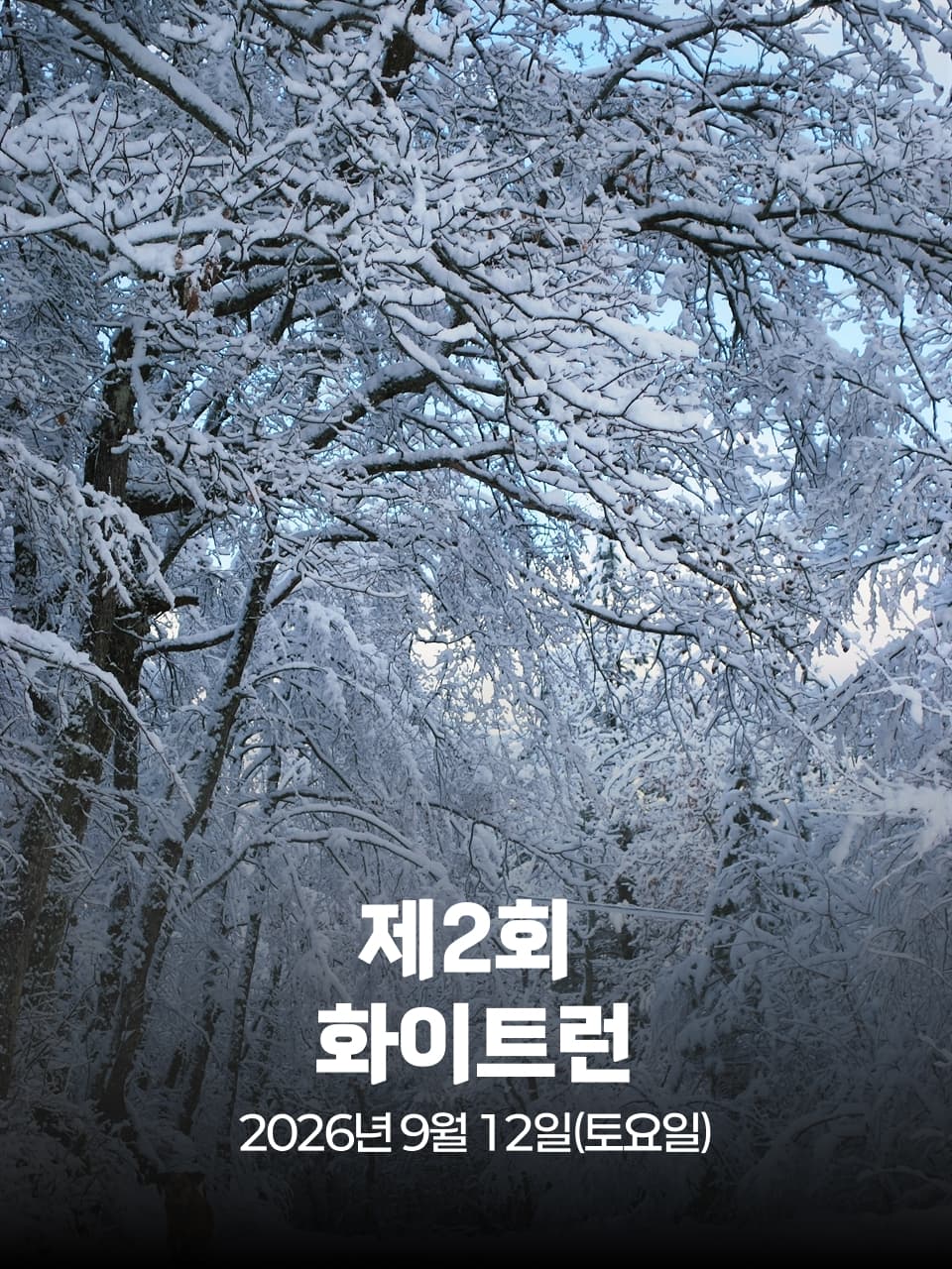 제2회 화이트런 이미지 1