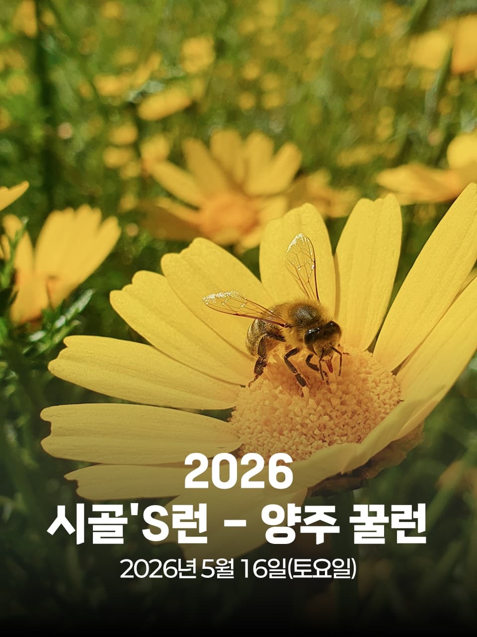 시골'S런 - 양주 꿀런 이미지 1