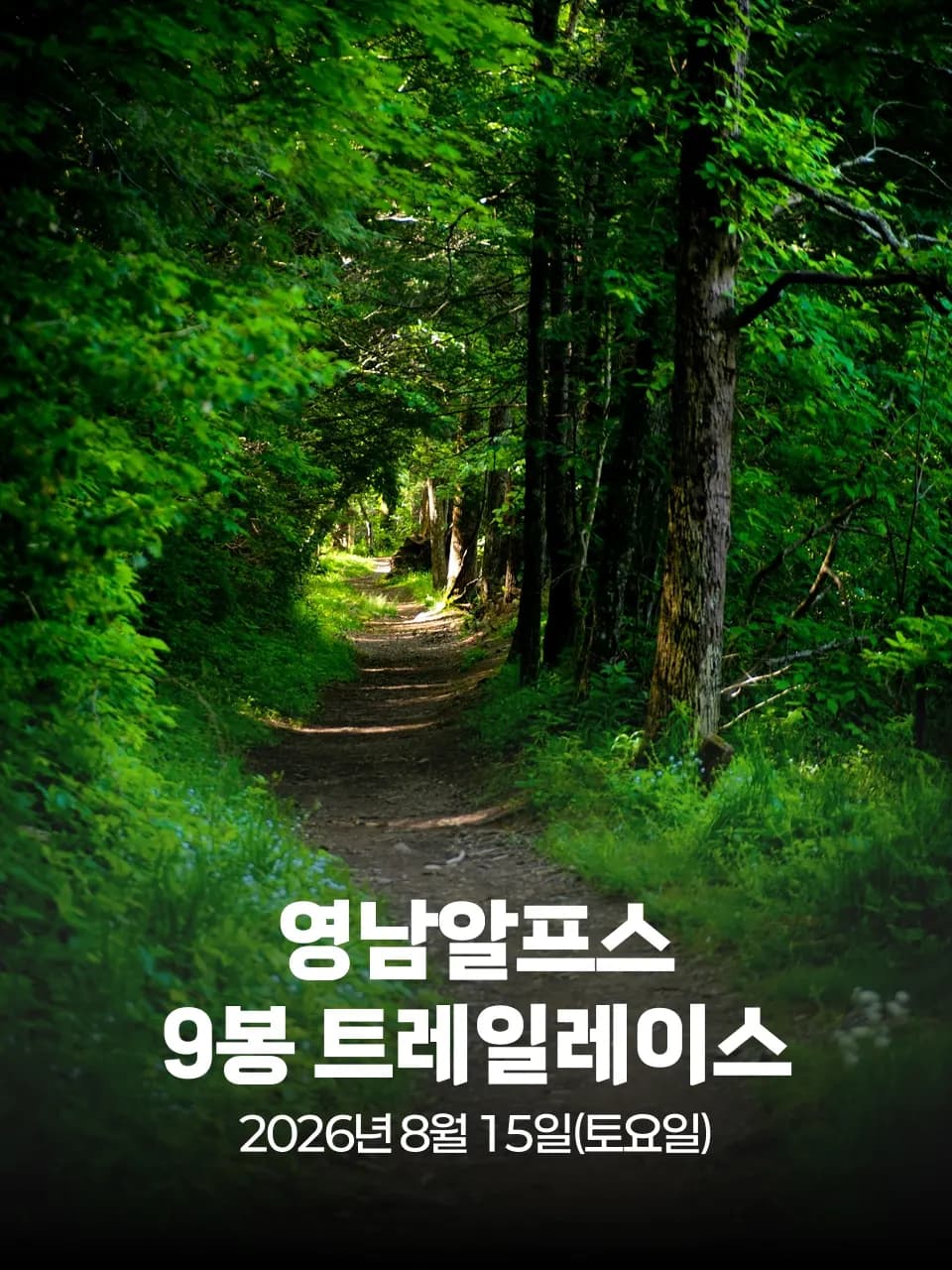 2026 영남알프스9봉 트레일레이스 대회 커버 이미지